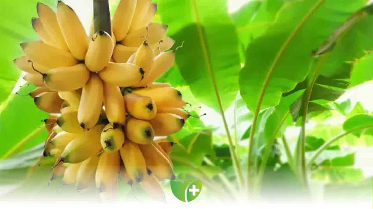 Muz kemiklere iyi geliyor! 7