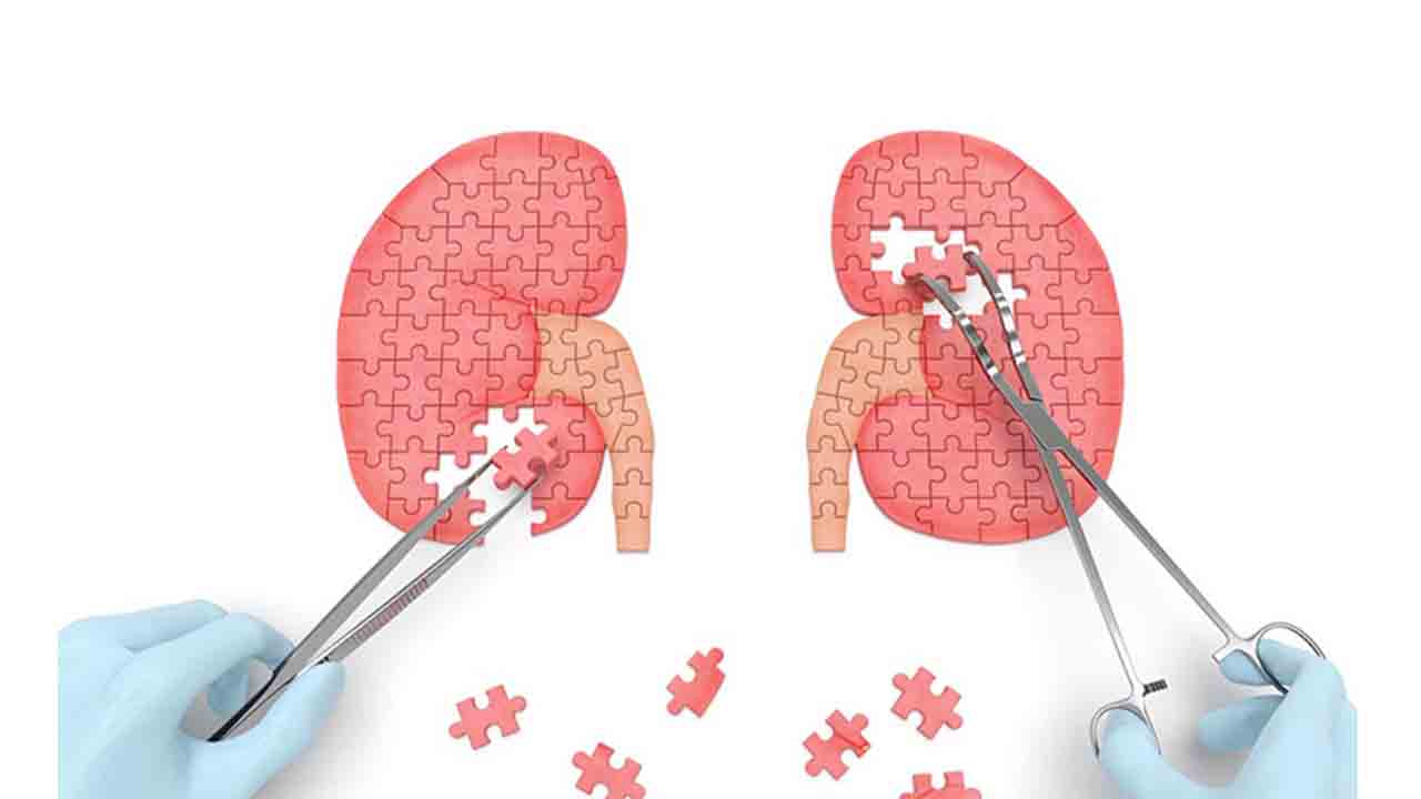 Organ Bağışı ile her bağış yeni bir hayat! 7
