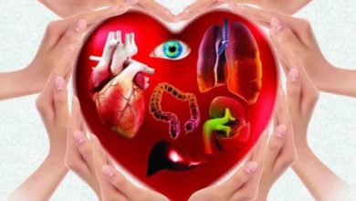 Organ Bağışı çok sayıda hayat kurtarır! 12