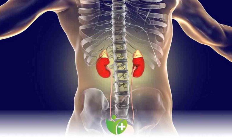 Böbrek üstü bezlerdeki kitleler ihmal edilmemeli 1