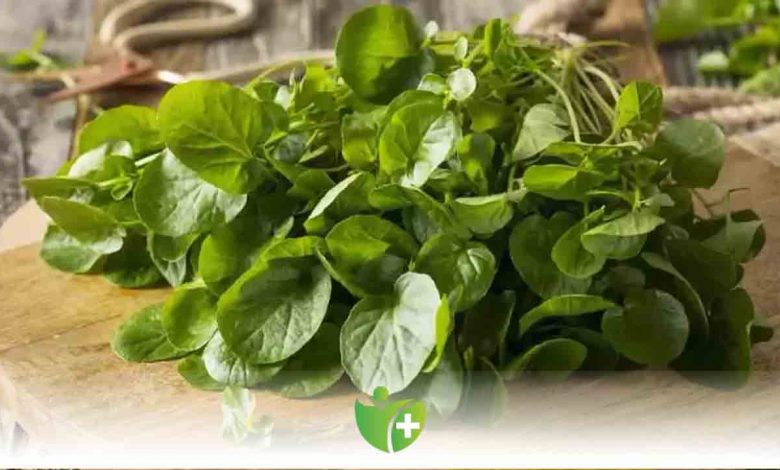 Tere tüketmek Demir Eksikliğine birebir! 1