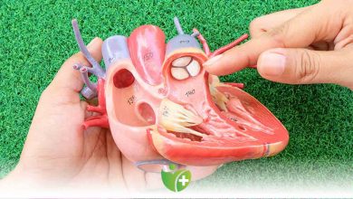 Kalp Kapak Hastalığı 19