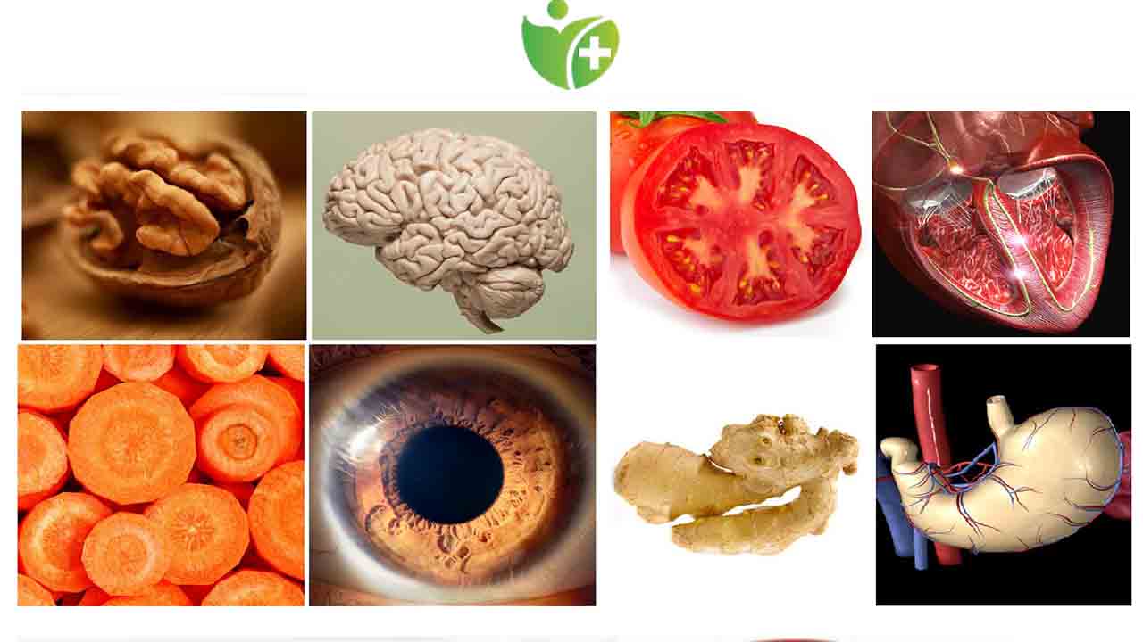 Benzediği Organa iyi gelen besinler 7