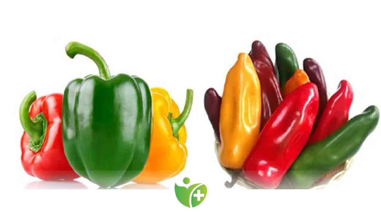 Kapya Biber nedir? Faydaları nelerdir? 7