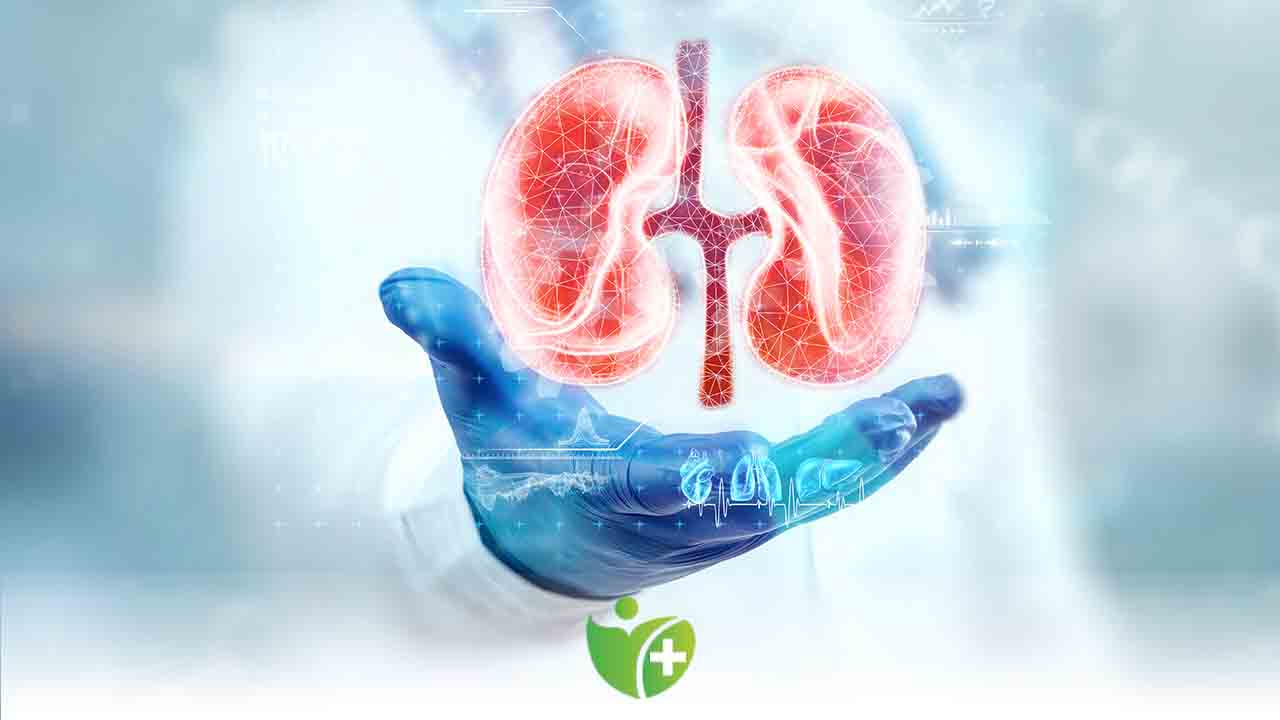 Yanlış ilaç kullanımı Böbrek Yetersizliğine neden olabilir 9