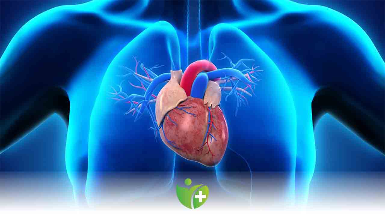 Ani hava değişimleri Kalp Krizi arttırır mi? 7