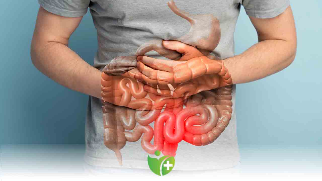 Mutlu Bağırsak Kolon kanserinden koruyor 7