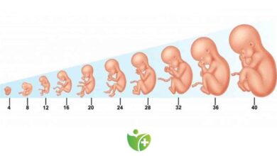 Hamilelik sürecin de Kadınlar da olumlu ve olumsuz Psikoloji! 1