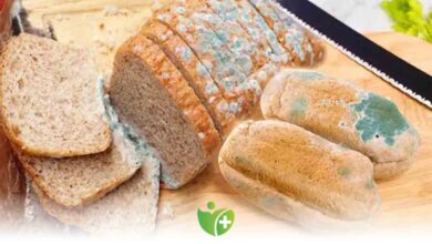 Küflenen Ekmeği Tüketmeyin! 1