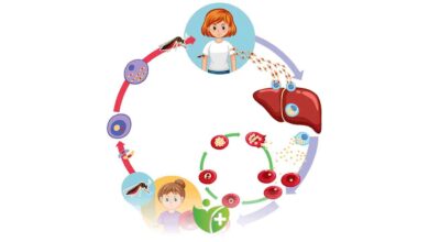 Aman dikkat! Sivrisinekler bulaştırıyor! 1