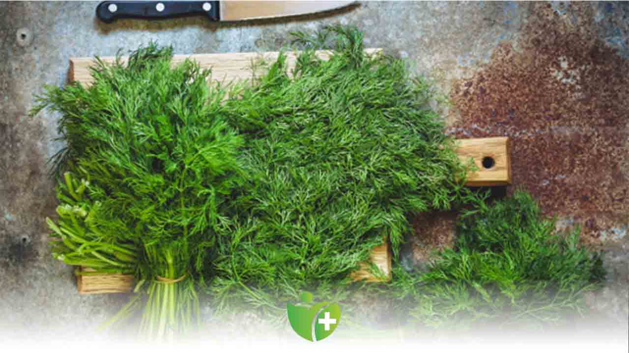 Dereotu faydaları nelerdir? Ne kadar tüketmeliyiz? 7