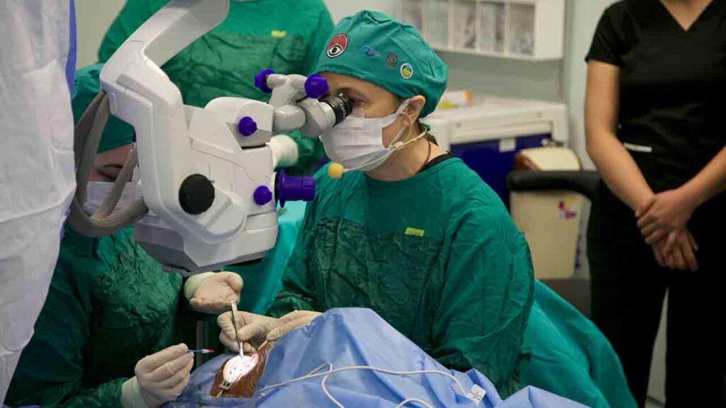 Göz hekimleri Ankara’da 4 gün boyunca canlı yayında 70 ameliyat yapacak 3