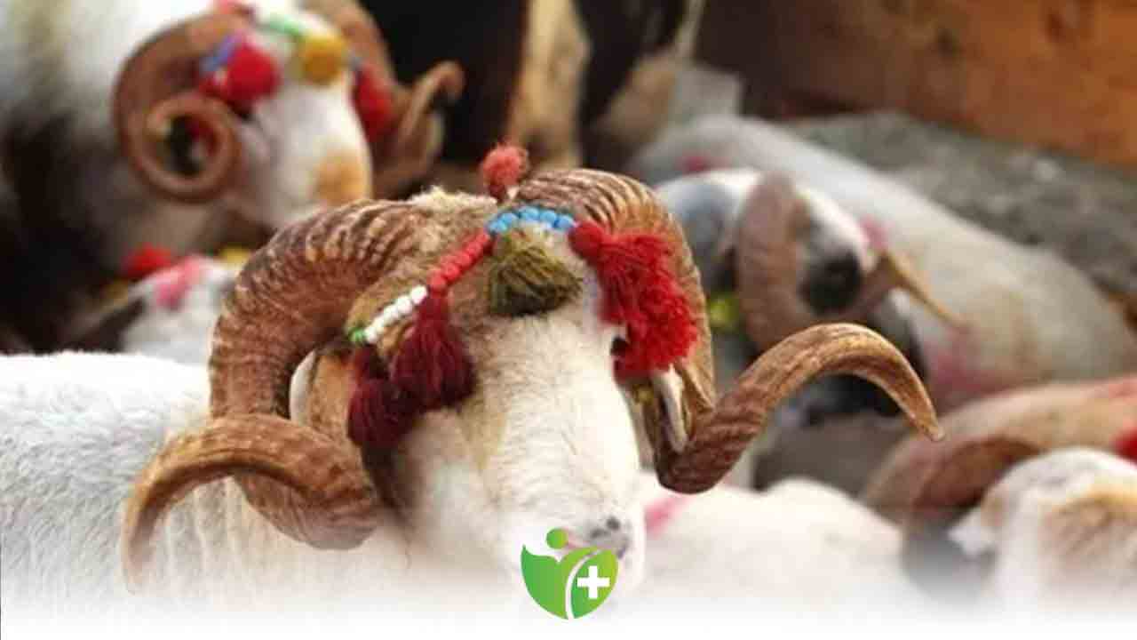 Kurban Bayramı'nı sağlıklı geçirmenin 10 kuralı 7