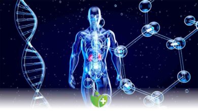 Bağışıklık sistemi düşüklüğünün 11 belirtisi 4