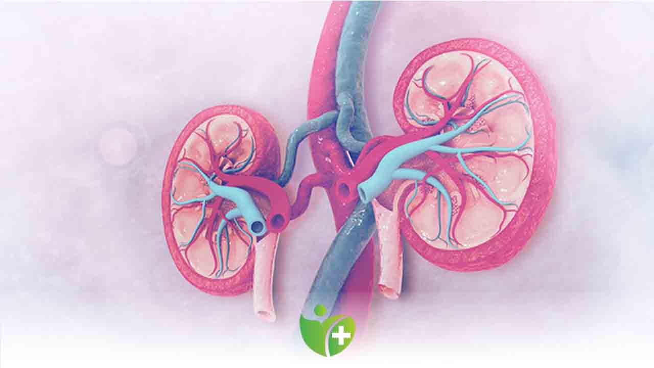 İdrar Sıklığı, Yorgunluk, İştahsızlık! ‘Kronik Böbrek hastası mısınız?’ 7