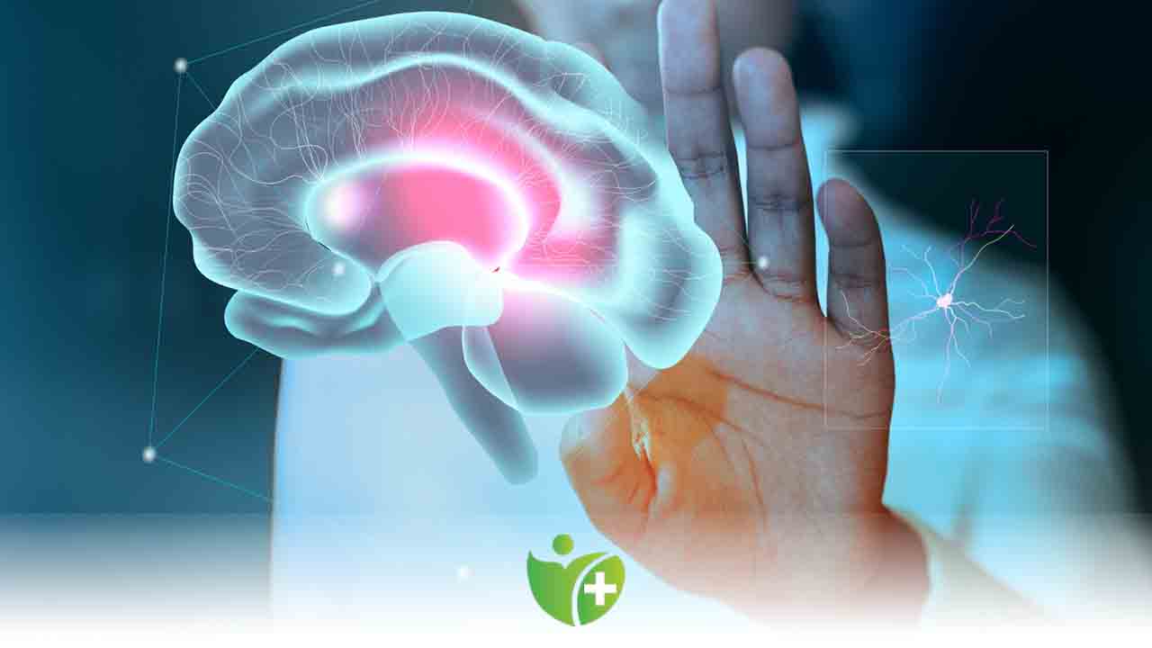 En önemli ihtiyaç iyi korunmuş ve sağlıklı bir beyin beynine iyi bak 8