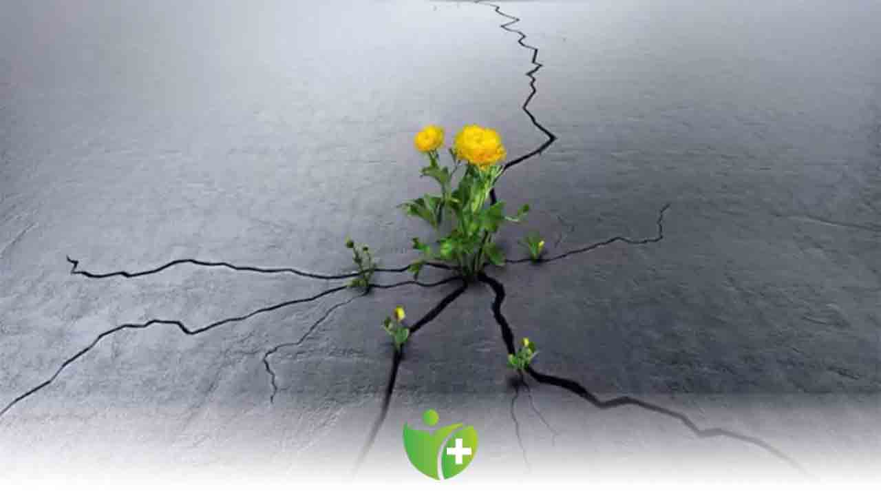 Prof. Dr. Nevzat Tarhan: “Umut, beyindeki gizli eczaneyi harekete geçiyor...” 7