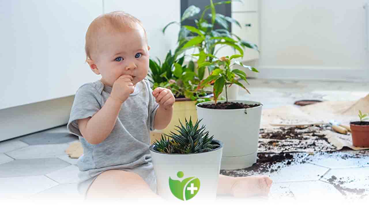 Psikolojik sorunlar yabancı madde yeme alışkanlığına neden olabiliyor! 7