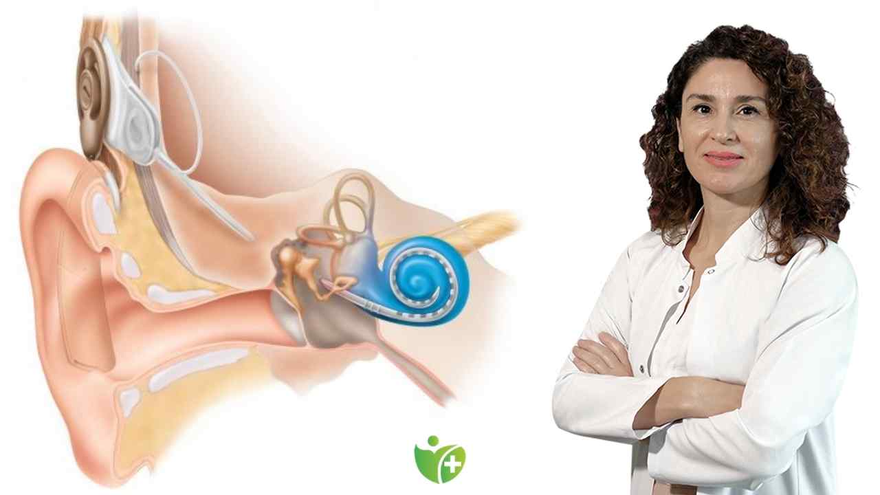Kulakta sıvı birikimi Kulak tüpü ile tedavi ediliyor 7