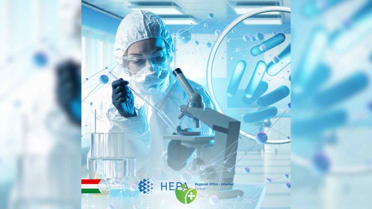 Macaristan Sağlık sektörü: Yenilikler ve küresel etkisi 6