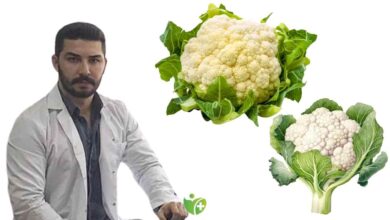 Karnabaharın faydaları nelerdir ? 1