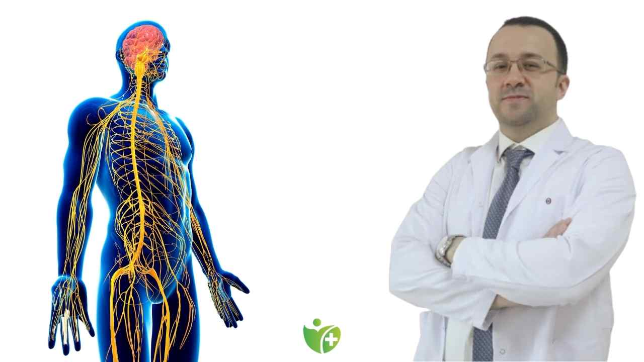 Çocuklarda kas-iskelet sistemi sağlığı için süper besinler 6