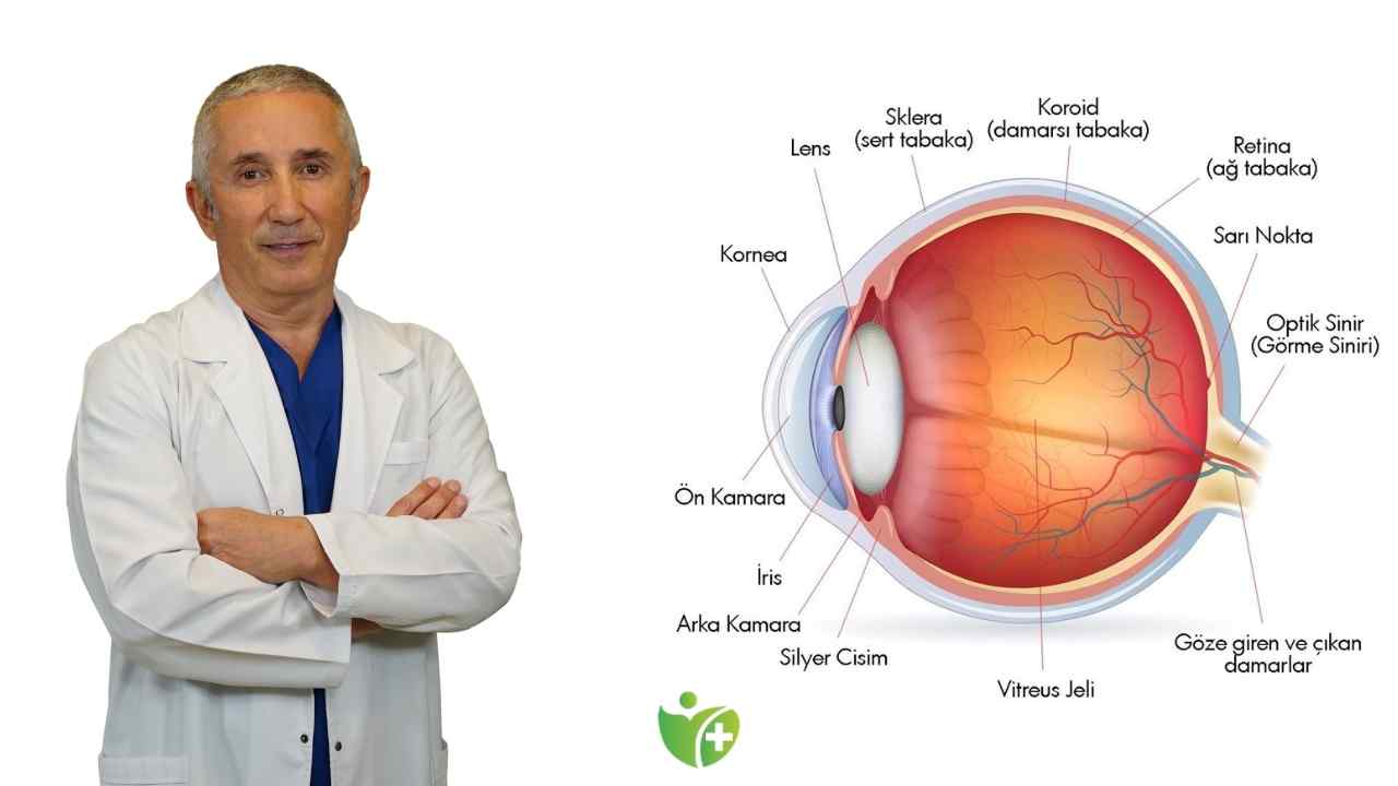 Organ Bağışı Haftası’nda Kornea Nakli umut ışığı olabilir 7