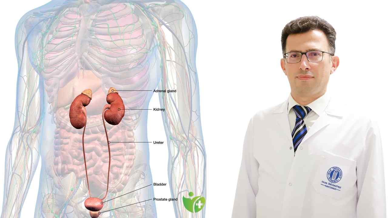 İyi Huylu Prostat büyümesinde (Bph) Cerrahi tedaviler 7