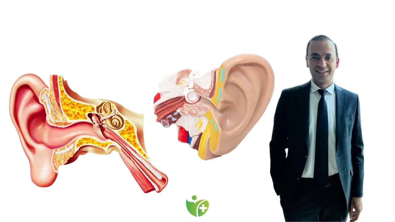 Kulak zarı yırtılmasının nedenleri: Belirtiler, riskler ve korunma yolları 7