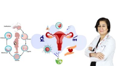 Tüp Bebek sürecinde başarı için en doğru zamanı kaçırmayın! 4