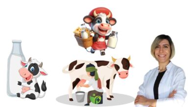 Neden Alternatifler yerine inek sütü? İşte bilimsel açıklaması 4