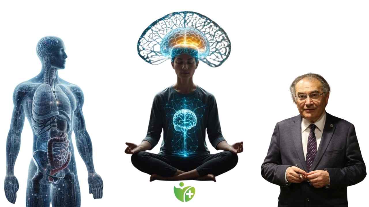 Nörobilimin ışığında Pozitif Psikoterapi ve Beyin değişimi 7