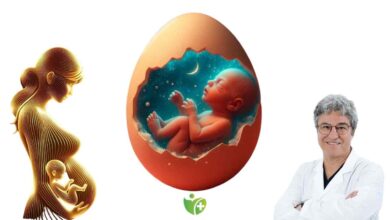 Tüp Bebek sürecinde riskleri azaltmak için genetik tarama şart! 1