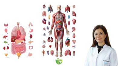 Kanser Hastaları da tatil yapabilir! İşte 9 önemli tavsiye 3