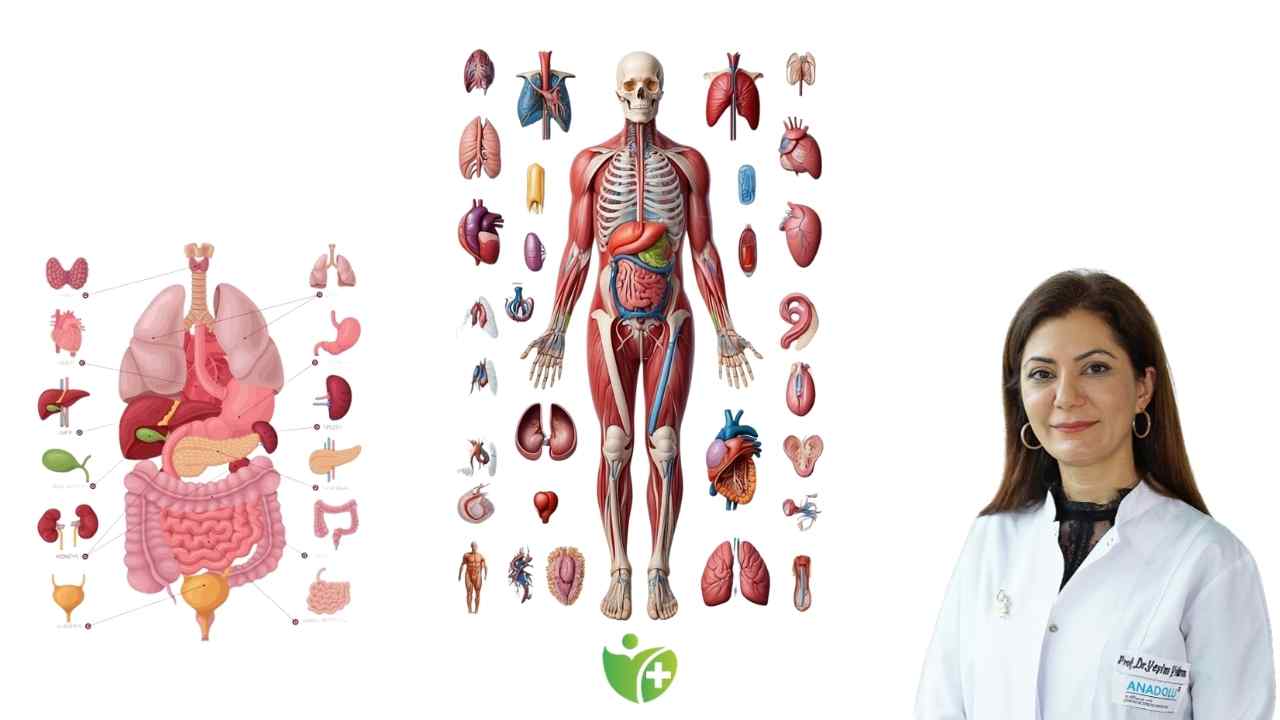 Kanser Hastaları da tatil yapabilir! İşte 9 önemli tavsiye 7