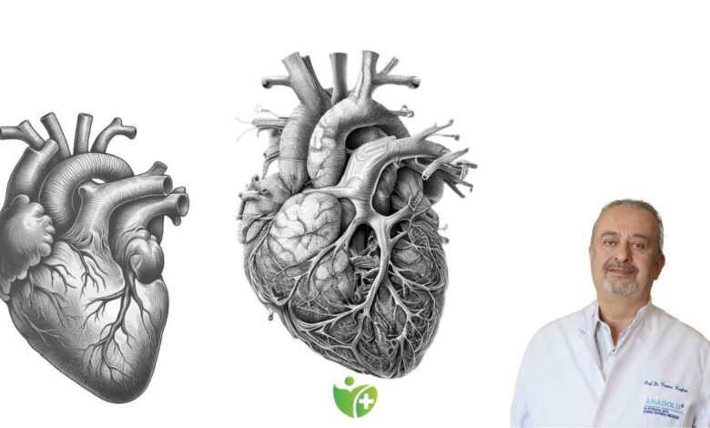 Kalp Krizi geçirdiğinizi anlamayabilirsiniz! 7 hayati ipucu 13