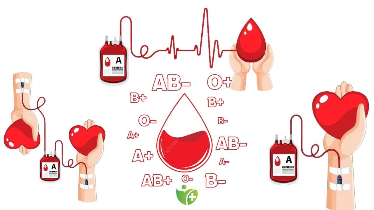 Kan bağışında dünya üçüncüsüyüz, Sıradaki hedef birincilik! 6