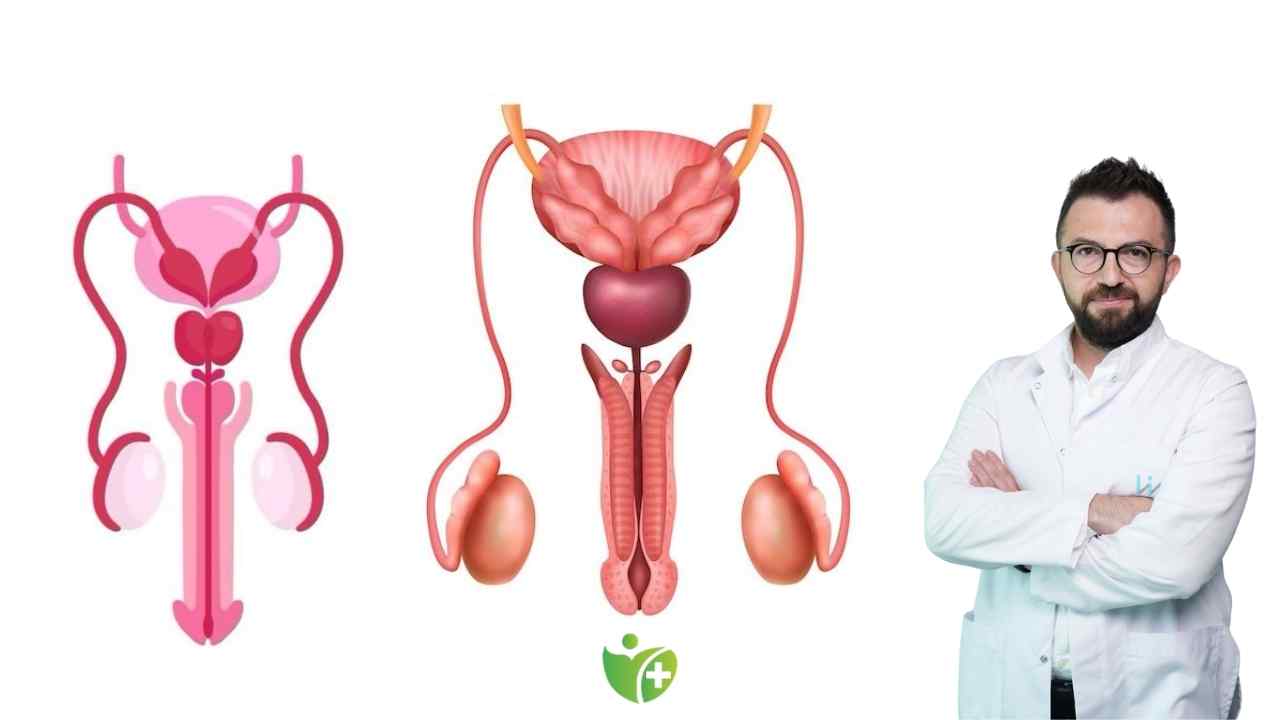 Nanoknife yöntemi Prostat Kanseri hastalarına neden daha uygun? 7