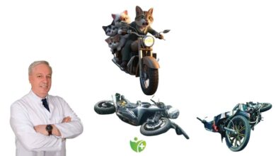 Motosiklet kazalarında en çok hangi travmalar görülür? Önleme yöntemleri nelerdir? 1