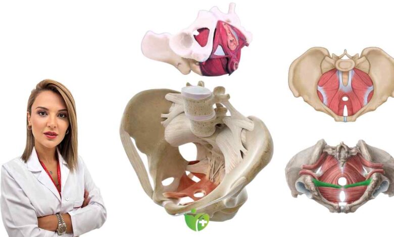 Kadınlarda sık görülen ama az bilinen sorun: Pelvik Taban zayıflığı belirtileri 1