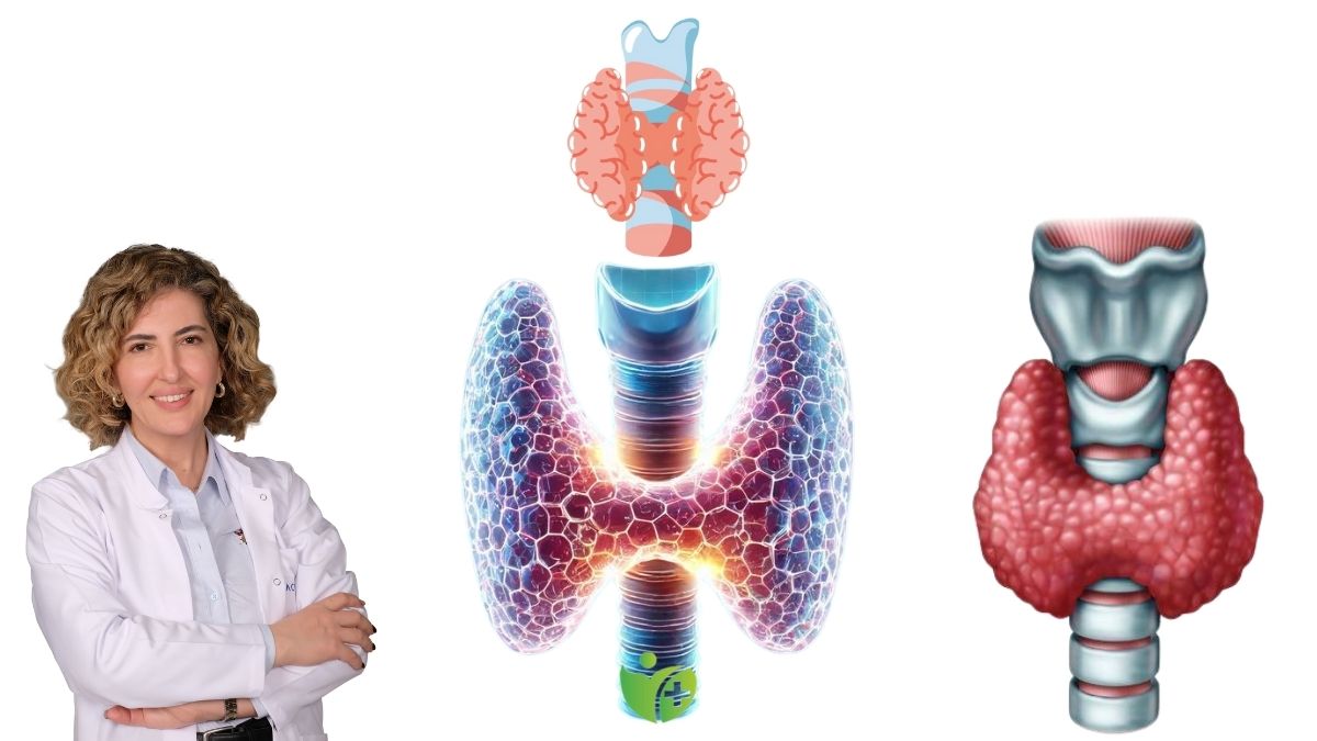 Tiroid çocuklarda nasıl anlaşılır? İşte gözden kaçan 6 kritik sinyal 7