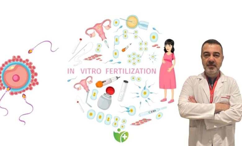 Yapay Zeka destekli Tüp Bebek Tedavisi: Embriyo kalitesini değerlendirmede yeni dönem 12