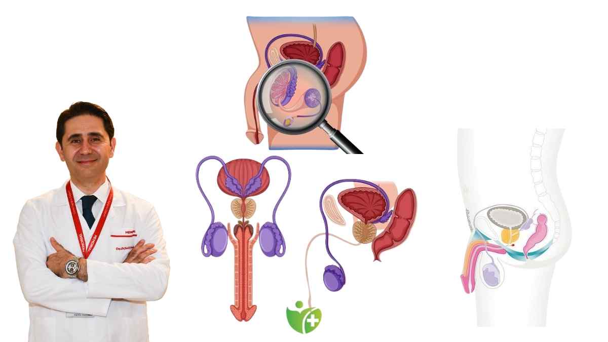 Prostat Büyümesi olanlar için yaşam kalitesini artırmanın yolları 7