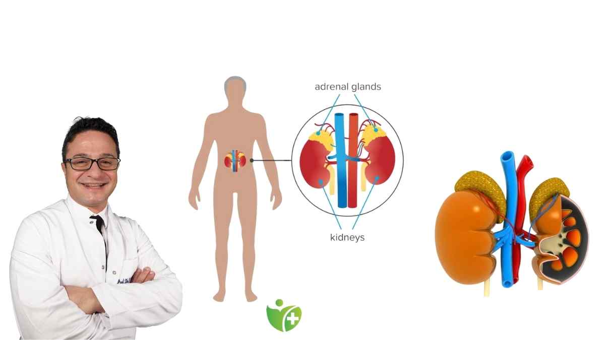 Böbrek üstü bezi kitlesi nedir? Hangi durumlarda tehlikeli olur? 7