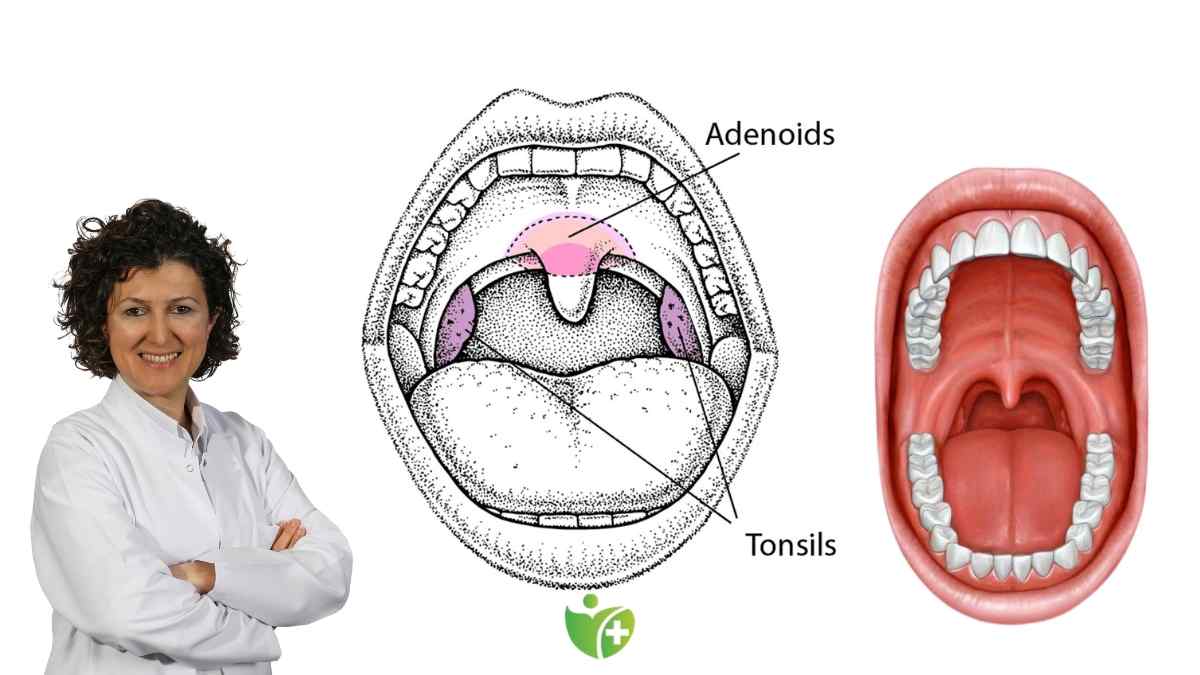 Geniz eti neden bu kadar yaygınlaştı? İşte şaşırtıcı gerçekler 7