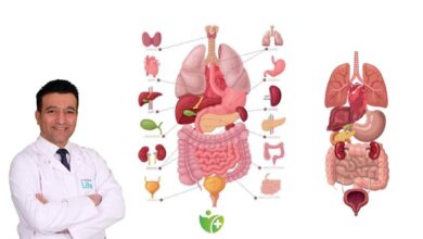 Organlarınız sizden yaşlı mı? Biyolojik yaşınızı Organlarınız ele veriyor! 3