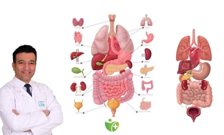 Organlarınız sizden yaşlı mı? Biyolojik yaşınızı Organlarınız ele veriyor! 1