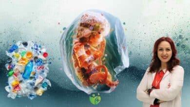 Günlük hayatta maruz kaldığımız Mikroplastikler Çocuk sahibi olma ihtimalini azaltıyor 2