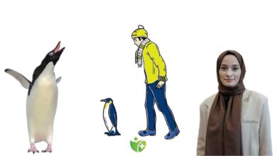 Kışın olası kazalardan korunmak için alınabilecek basit önlemler 4