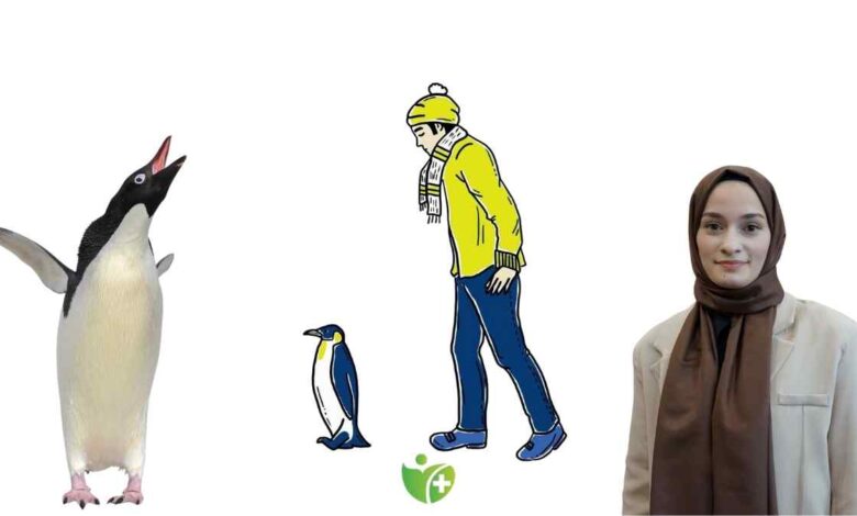 Kışın olası kazalardan korunmak için alınabilecek basit önlemler 1